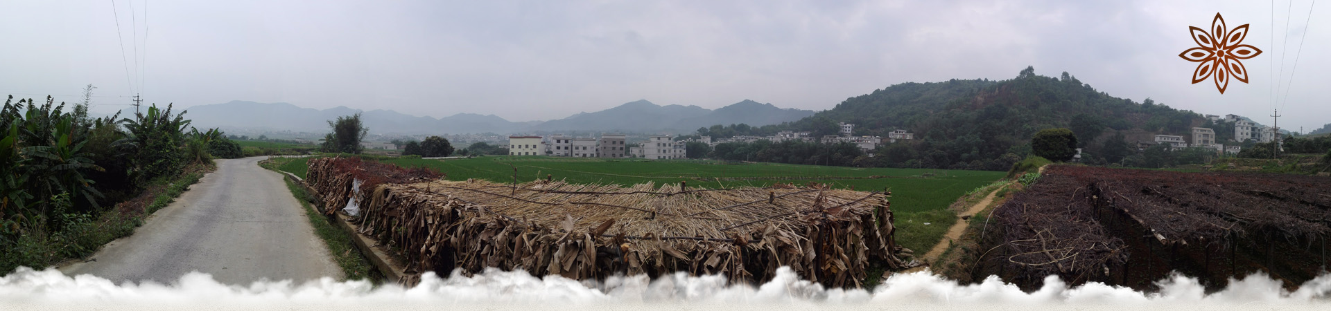 古龙社区